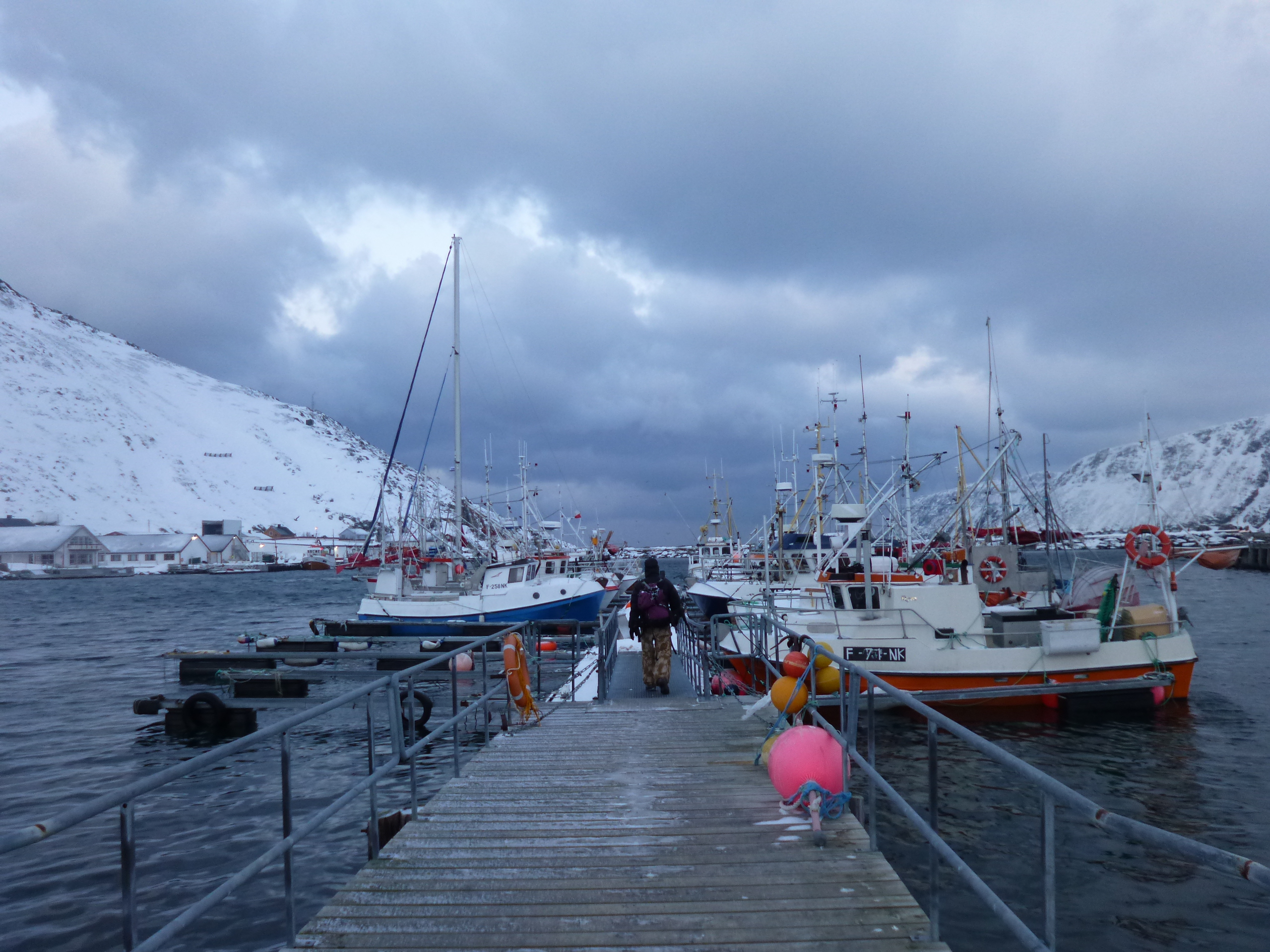 Rejs Tromsø – Bodø