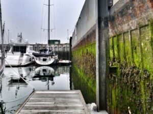 Krótki rejs pływowy Amsterdam – Kiel/Rendsburg