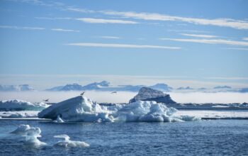 Grenlandia- W Dzicz i Lód!