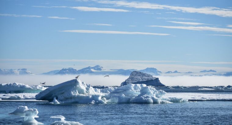 Grenlandia- W Dzicz i Lód!