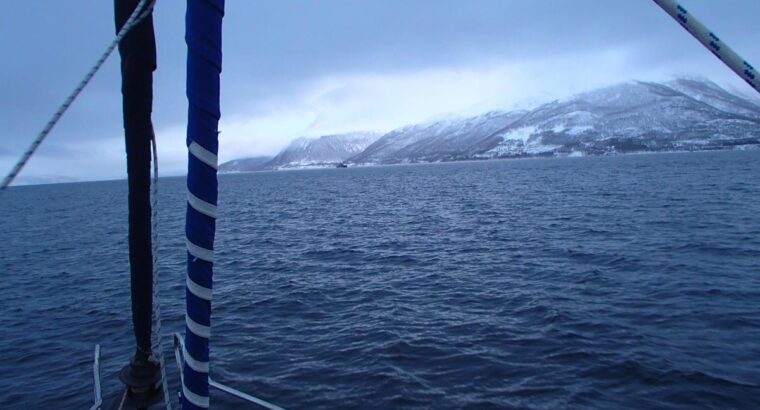 Dopłynąć na Svalbard