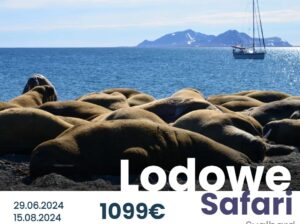 Spitsbergen – Lodowe Safari – 15.08.2024
